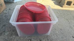 lot 21 image: Plastic Food Baskets
