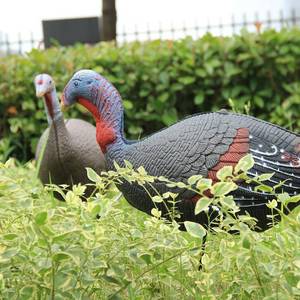 lot 7843 image: 2 Pack Jake &amp Hen Turkeys Decoys for Hunting, Collapsible  No Stakes 
