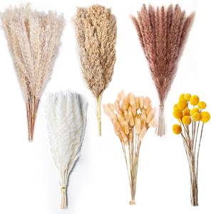 lot 7923 image: 100PCS Natural Dried Pampas Grass - 17.5 Fluffy Bouquet - Boho Decor