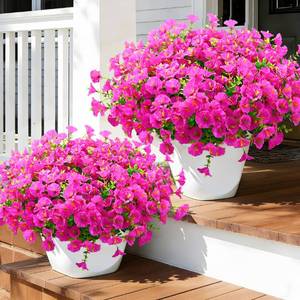lot 2806 image: Waipfaru 24 Bundles Artificial Flowers for Outdoors Faux Plants Outdoor, UV Resistant Artificial Plants Outdoor, Silk Petunias Fake Flowers for Outside Home Decor Planter Porch Decoration, Rose Red - Retail $213
