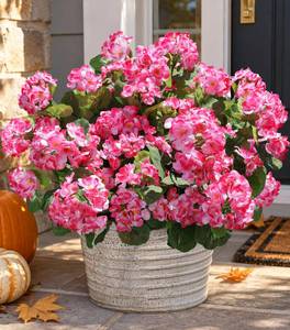 lot 2980 image: Artificial Geranium Fake Flowers for Outdoors Decoration, 6 Bundles Silk Geraniums Pink Flower UV Resistant Look Real Faux Plants for Outside Planter Front Door Garden Porch Patio Balcony Yard Home - Retail $20