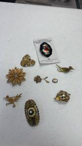 lot 1609 image: Paper mache and other broches and more