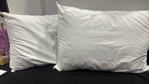 lot 2420 image: Pillows