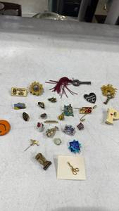 lot 1644 image: Pins and more