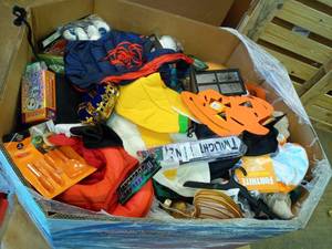 lot 25 image: Halloween Pallet with HUGE Resale Value 46 x 38 x 26 with hundreds of items, toddler up to adult full costumes, costume accessories, pet costumes and or gear, indoor  outdoor decor - Retail $2,000