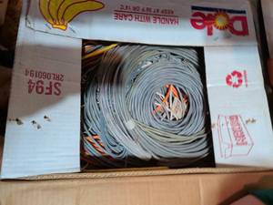 lot 291 image: Dap Multi Cord Electrical Cable 2 Conductor UF 122 250 ft