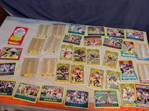 lot 318 image: Topps 1987 Football Cards and Baseball Cards Lot Checklist Spring Fever