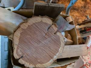 lot 328 image: Mixed Wood Lot Cuts Blocks Strips Rounds in Box