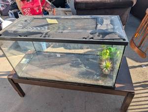 lot 08 image: Medium-sized terrarium glass tank