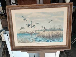 lot 54 image: Picture of wildlife, flock of ducks flying low over a marsh of wetland area