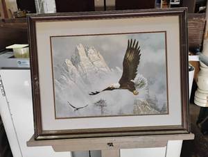 lot 60 image: Picture of a flying Hawk in winter background