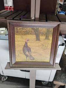 lot 61 image: Picture of a Turkey