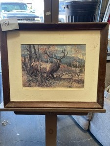 lot 131 image: Picture of wildlife, bull elk walking