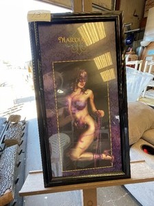 lot 137 image: Mardi Gras 2009 New Orleans Picture