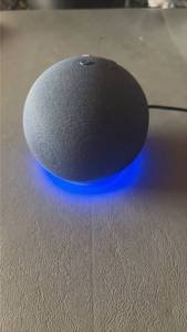 lot 191 image: Working Echo Dot