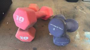 lot 208 image: 10 Pound & 5 Pound Weights