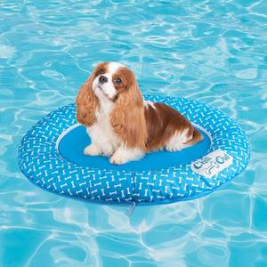 lot 8122 image: ALL FOR PAWS 36x28 Dog Pool Float, No Inflation, Water-Resistant Oxford