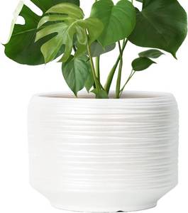 lot 8139 image: 10-Inch Ceramic Plant Pot with Drainage, IndoorOutdoor Planter for Patio