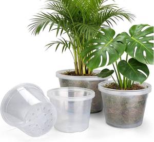 lot 8154 image: 12 Pack 81012-Inch Clear Nursery Pots with Drainage Holes, Plastic Pots