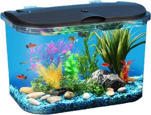 lot 8349 image: Koller Products 5-Gallon Aquarium Kit with LED Lighting and Power Filter