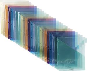 lot 8430 image: Amazon Basics Tab Dividers for 3 Ring Binder, Two Pocket, Letter Size, 24ct