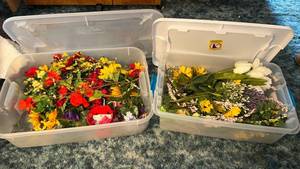 lot 223 image: Lot of 2 Clear Plastic Storage Containers with Floral Arrangements