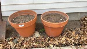 lot 244 image: 2 Terracotta Plant Pots with Soil