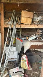 lot 282 image: Shed Contents Lot Tools Bicycle Garden Hose Shelving Miscellaneous Items
