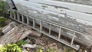 lot 317 image: Extension Ladder