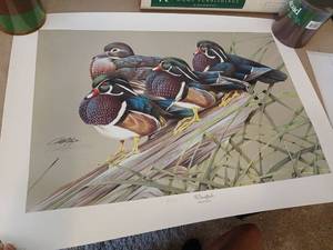 lot 1236 image: Ducks Unlimited Home Furnishings Wood Ducks Print by Hamamary 21x 28