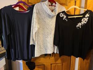 lot 1368 image: Ladies tops, XL, including a Chicos cowl neck top, all on flocked hangers