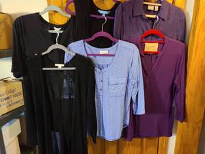 lot 1370 image: Ladies tops Simply Vera, Chicos, more M-XL, all on flocked hangers.
