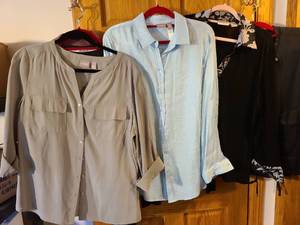 lot 1371 image: Ladies tops, Chicos and others, XL, XXL, all on flocked hangers
