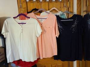lot 1380 image: Ladies tops XL