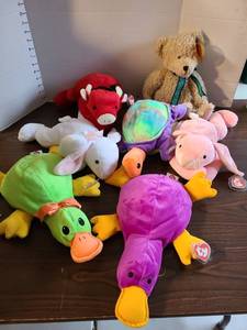 lot 3108 image: Ty Plush Stuffed Animals Lot  Piece Bundle