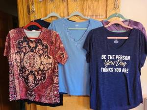 lot 7207 image: Ladies tops, L, XL