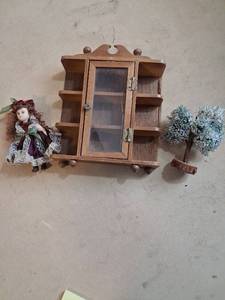 lot 32 image: Wood Wall Cabinet with plastic  Door and Side Shelves