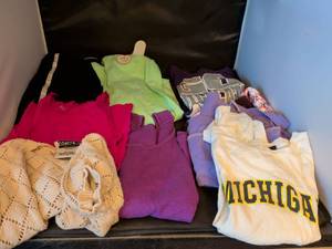lot 130 image: Clothing Lot 10 pieces T-shirts Sweatshirts Tanks Mixed Brands