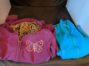 lot 147 image: Old Navy Fila Sport Kids Zip Hoodie Lot 2pc XS