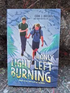 lot 29 image: Erik J. Brown The Only Light Left Burning Book