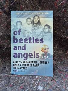 lot 51 image: Of Beetles and Angels by Mawi Asgedom Special Expanded 15th Anniversary Edition