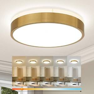 lot 9050 image: Ken & Ricky 12 Modern Flush Mount Ceiling Light��Brush Gold,1 Pack
