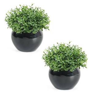 lot 13826 image: Velener Fake Sage Plants for Shelf Decor, Small Artificial Succulents Grass Desk Plant for Office Women, Mini Faux Plant Indoor, Masculine Home Decor, Coffee Table Decor, Bathroom Decor (2 Pack)