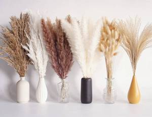 lot 14266 image: 110 PCS Dried Pampas Grass Bouquet, Boho Table Decor, Bunny Tails Dried Flowers, Brown Pompas, White Pampas Grass for Wedding, Home, Rustic Party, Baby Shower Decorations