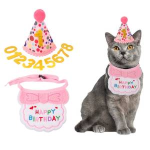 lot 14323 image: ADOGGYGO Cat Birthday Hat Bandana Set, Pink Girl Kitten Birthday Outfit