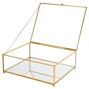 lot 17779 image: REDHUGO Large Glass Display Box with Mirrored Bottom