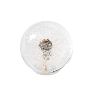 lot 18470 image: 1st Heaven Dandelion Crystal Glass Paperweight Sphere