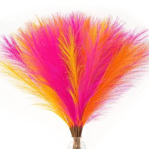 lot 10185 image: Serwalin 60PCS 17.7 Hot Pink��Orange��Yellow Pampas Grass Decor for Home