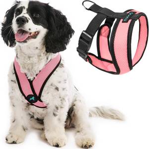 lot 10190 image: Gooby Comfort X Head-in Dog Harness, Choke-Free, Pink, Medium
