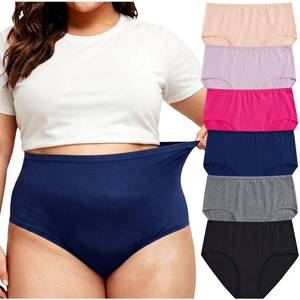 lot 14367 image: Feihtl Womens Cotton Briefs 6-Pack 4XL